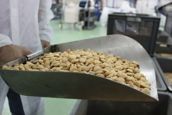 almendra tostada para turron de jijona